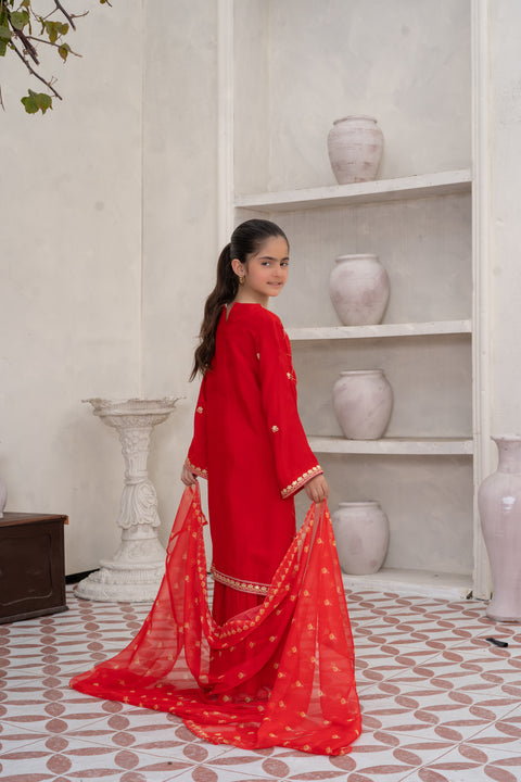 Raw Silk 3pc Red