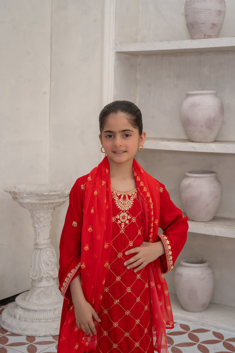 Raw Silk 3pc Red