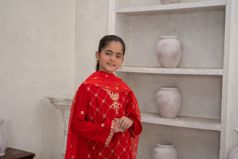 Raw Silk 3pc Red