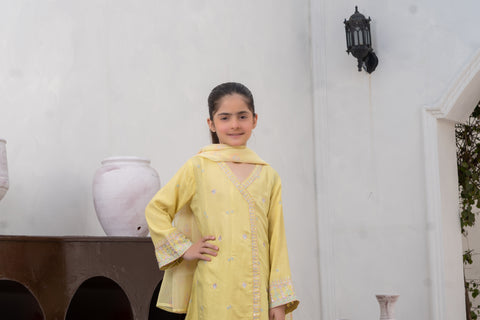 Raw Silk 3pc Lime yellow