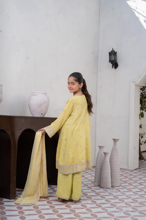 Raw Silk 3pc Lime yellow