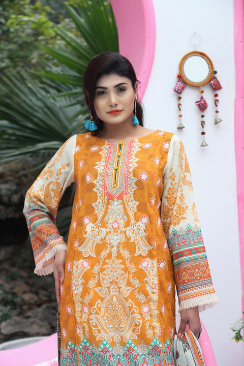 Embroidered Prints 3pc