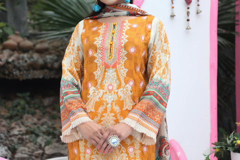 Embroidered Prints 3pc