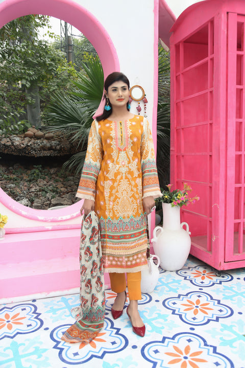 Embroidered Prints 3pc