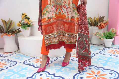 Embroidered Prints 3pc