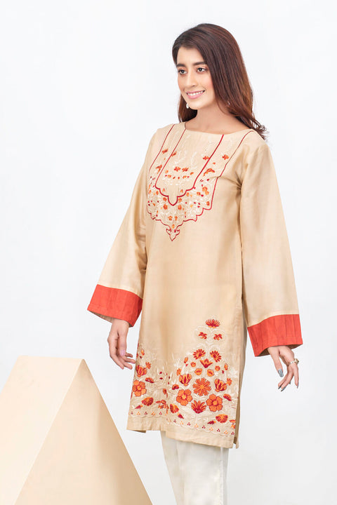 Stylish Embroidered Shirt