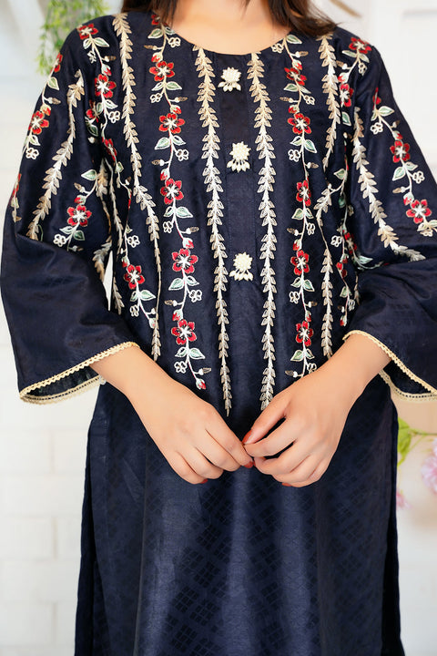 EMBRODERED 2 PC SUIT - 09