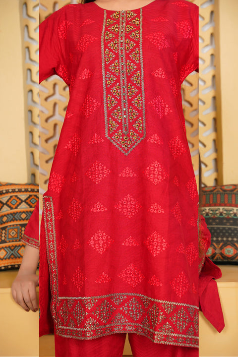 EMBRODERED 2 PC SUIT - 04