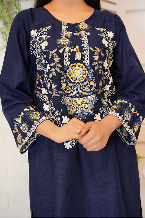 EMBRODERED 2 PC SUIT - 05